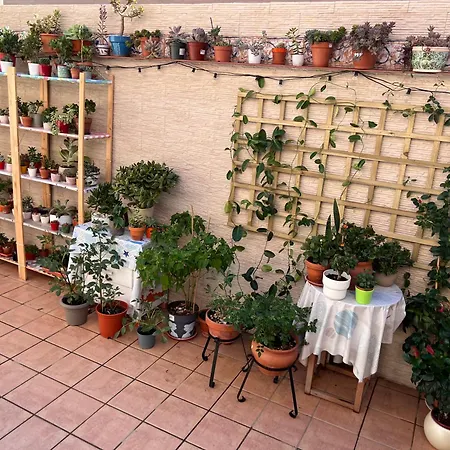 Casa A Vila *